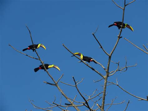 Playa Hermosa-Punta Mala National Wildlife Refuge Photos