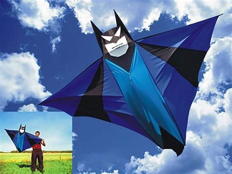 7 Best Kites for Adults of all Skill Levels | Recreation Insider