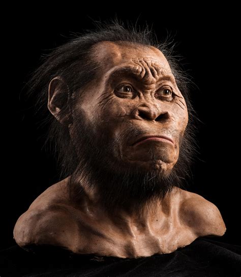 Age of Ape-Human Species Homo naledi Revealed: 236,000 to 335,000 Years Old