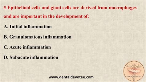 Dentosphere : World of Dentistry: Epithelioid cells and giant cells are derived from