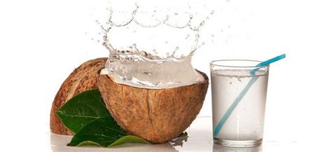 Tender coconut Water, 250 ml, Vashini Exports | ID: 20079168255