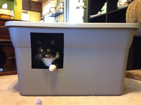 question about DIY litter box - Cat Forum : Cat Discussion Forums | Diy ...