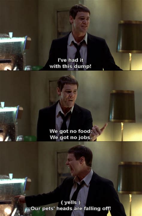 Dumb And Dumber Great Quotes. QuotesGram