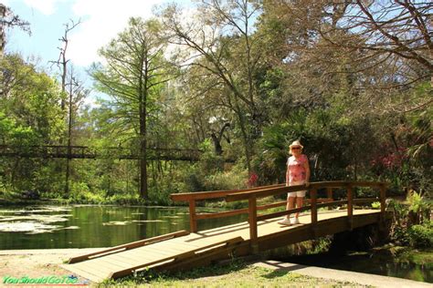 Ravine Gardens State Park • Azaleas in Palatka, FL