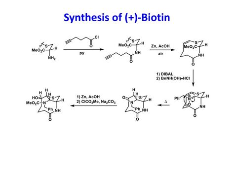 PPT - Total Synthesis of (+)-Biotin PowerPoint Presentation - ID:1850445