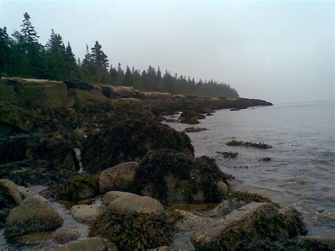 Maine’s Coastline | David McNamara