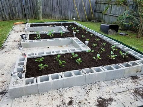 15 Best Cinder Block Raised Bed | Cinder Block Garden Ideas