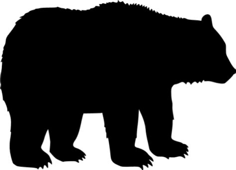 American Black Bear PNG Transparent | PNG Mart