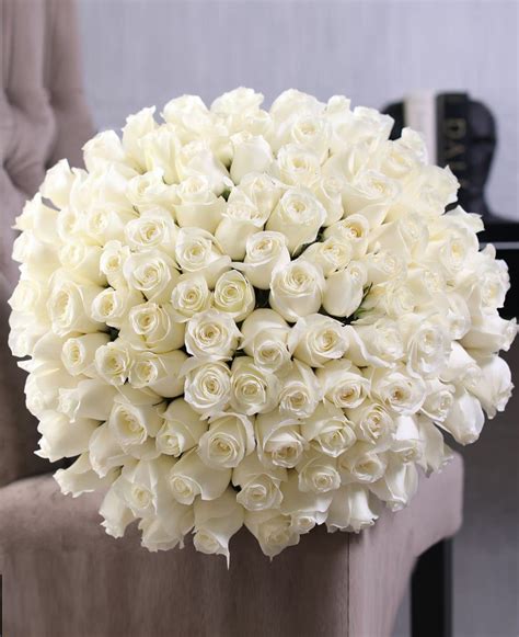 100 White Roses Bouquet in Miami Beach, FL | Luxury Flowers Miami