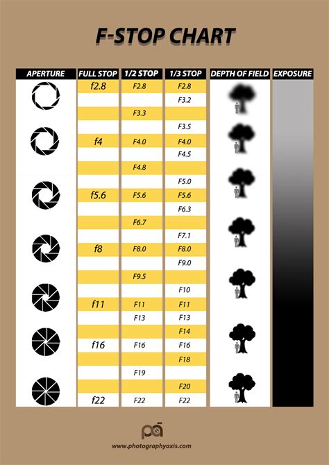 F Stop Chart Aperture Stop Chart Explained Photographyaxis | Images and ...