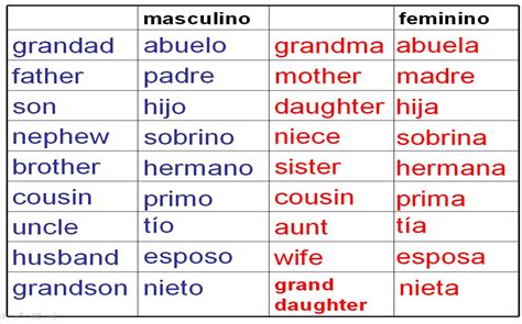 Spanish vocabulary to describe your family