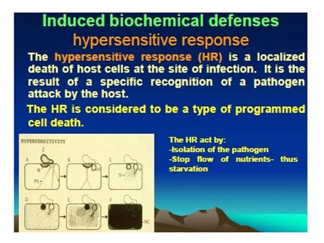 Defence mechanism.ppt new | PPT