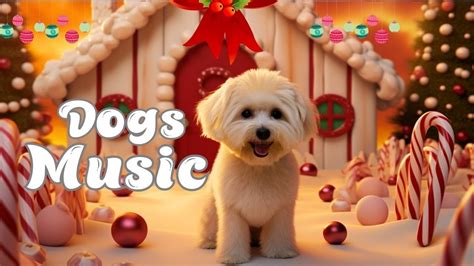 Relaxing Music for My Dog | Quick Relaxation Music Therapy for Dogs! | Music Helps Dogs Calm ...