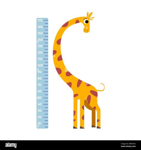 Height ruler with comic long neck giraffe, vector illustration. Wall sticker for measuring ...