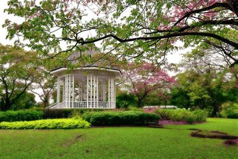 Singapore Botanic Gardens Orchids