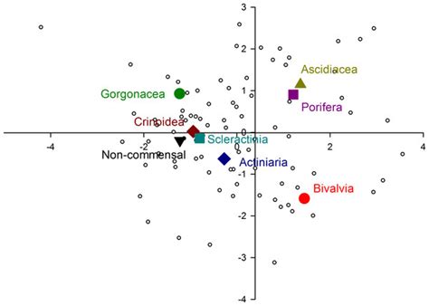 Insights into the morphology of symbiotic shrimp eyes (Crustacea, Decapoda, Palaemonidae); the ...