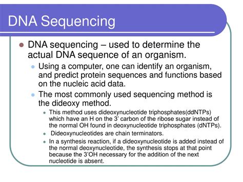 PPT - DNA Sequencing PowerPoint Presentation, free download - ID:395701