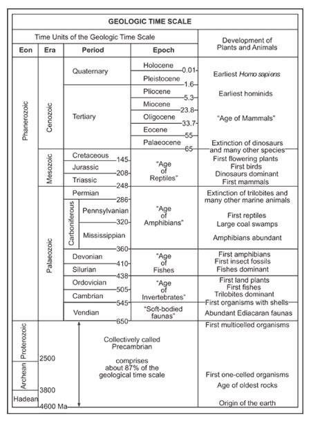 Evidences of Evolution: Fossil record,Transitional form/Connecting ...