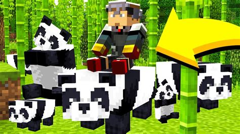 HOW TO TAME & RIDE PANDAS! (Minecraft Addon Mod) - YouTube