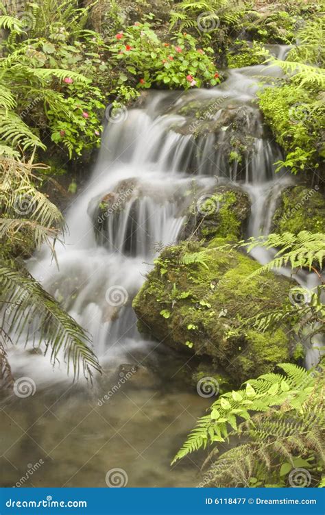 Natural Spring Waterfall stock image. Image of scene, florida - 6118477