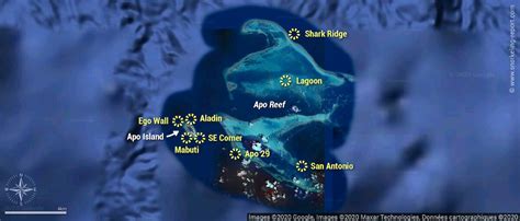 Snorkeling at Apo Reef Natural Park, Mindoro | Snorkeling in Philippines