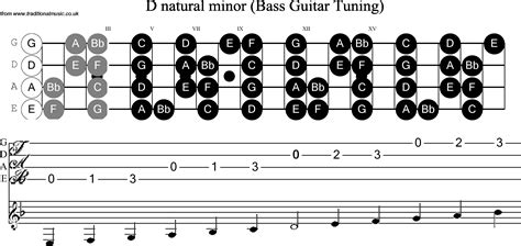 Bass Guitar Scale D Minor