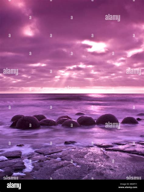 Moeraki boulders during sunrise. The Moeraki Boulders are unusually ...