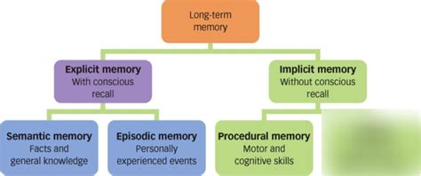 Memory - Types of Long-Term Memory Diagram | Quizlet