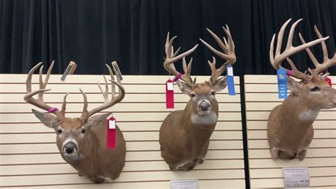 2022 Iowa Deer Classic - Big Buck and Shed Contest - YouTube