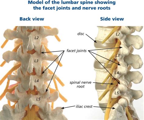 Facet joint injection indications, benefits, risks & complications