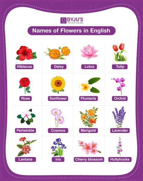 Names of Flowers - Explore the Various Flowers from All around the World