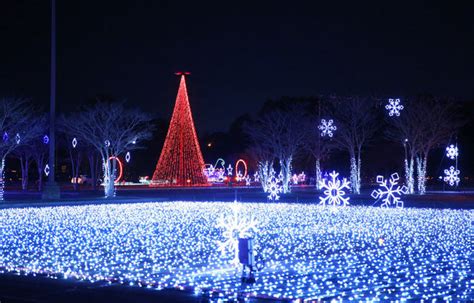 Best Christmas Lights in Indianapolis (2024)