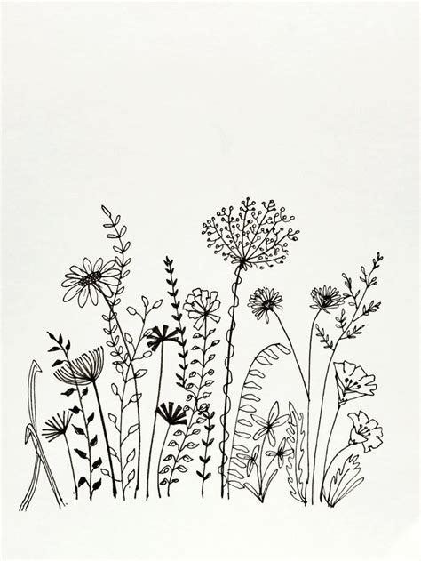 black and white drawing of wildflowers against a white background with the words,