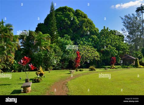 The kilohana plantation hi-res stock photography and images - Alamy