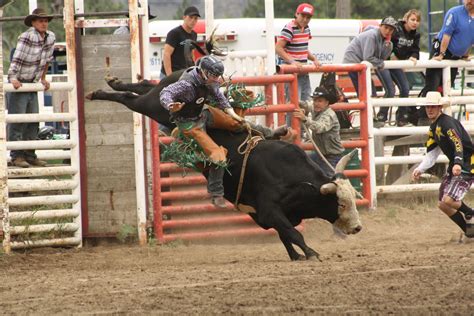 Rodeo action | TimesChronicle.ca