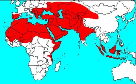 Map Of The Islamic Empire