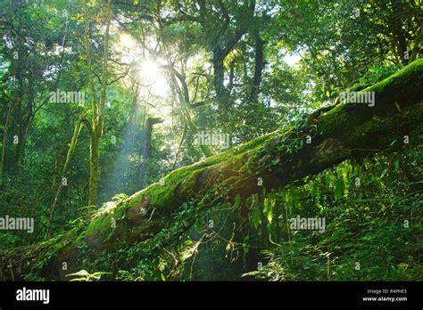 Kumamoto City Japan High Resolution Stock Photography and Images - Alamy