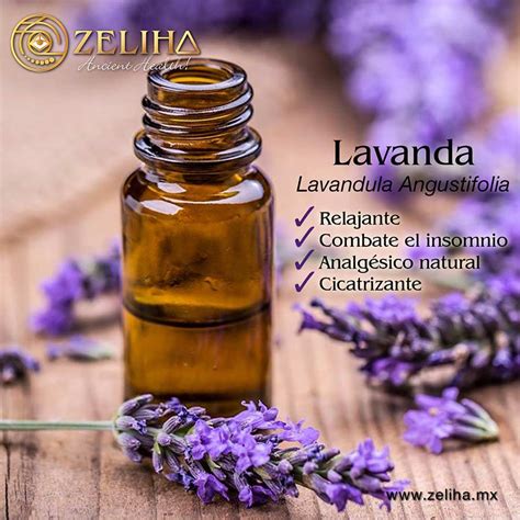 Aceite Esencial Puro de Lavanda - Zeliha