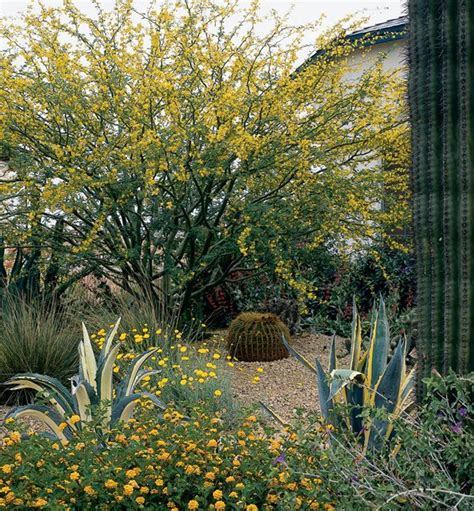 Xeriscape Landscaping with Style in the Arizona Desert. Photo Credit ...