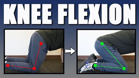 Improving Knee Flexion (Best Exercises, Stretches, Mobilization ...