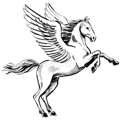 White pegasus stock illustration. Illustration of stalion - 101531793 | Pegasus drawing, Pegasus ...