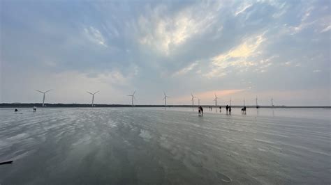 Exploring Taichung: Gaomei Wetlands