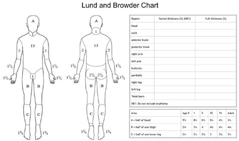 Emergency Medical Responder Course Lund and Browder Burn Chart - MEDI-PRO FIRST AID TRAINING IN ...