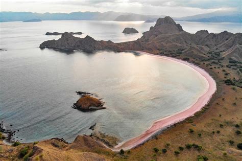 Pink Beach Komodo Island - Why is it Pink? - Samata Luxury Liveaboard