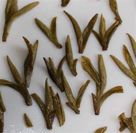 Dragon Well Tea (Longjing) Best Green Tea Revealed