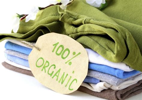 11 Reasons Why Sustainable Clothing is the Future of the Fashion ...