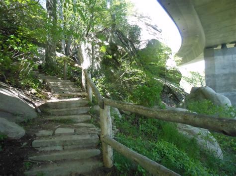 Hiking Trail Under Blue Ridge Parkway / NC | Hiking trails, Blue ridge parkway, Outdoor