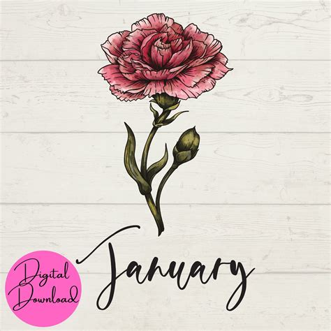 January Birth Flower SVG, January SVG, Flower SVG, Carnation Svg ...