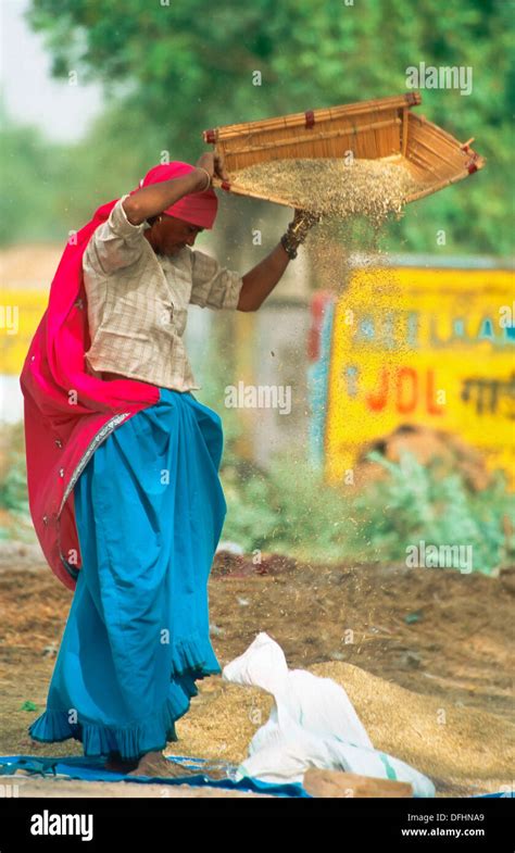 Woman winnowing wheat hi-res stock photography and images - Alamy