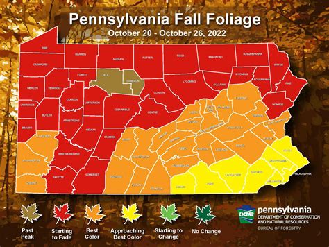 Peak Fall Foliage Pa 2024 Map - Brook Collete